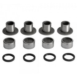 Kit cuscinetti Forcellone BETA EVO 09-19